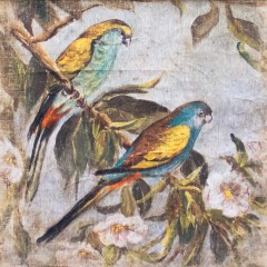 LES DEUX PERRUCHES DES FORETS (120x120cm) LES DEUX PERRUCHES DES FORETS (120x120cm)